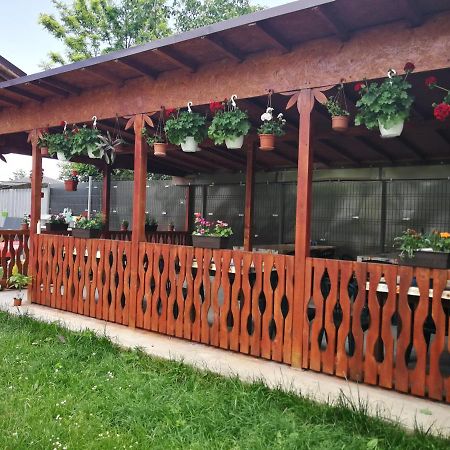 Отель Vila Baciu Тузла Экстерьер фото